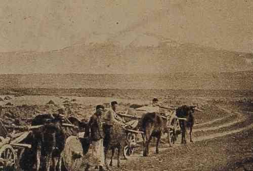 Armenian farmers in the plain of Gyumri – 1919