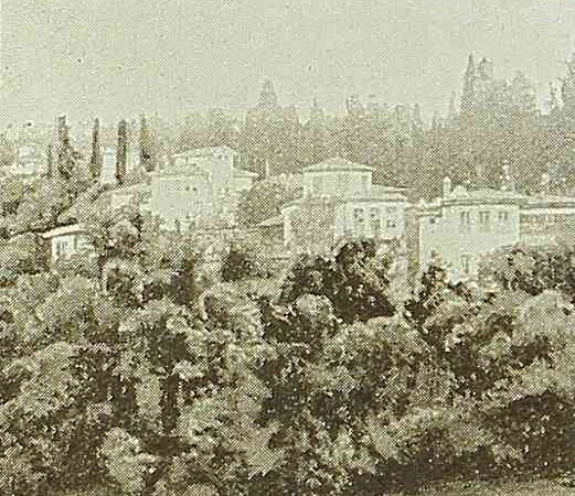 Orchard in Trapizon