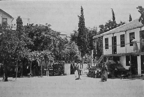 American girl school of Adana