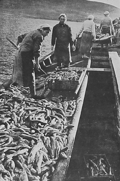 Fishing at Lake Sevan