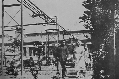 Oil mill and soap factory in Soviet Armenia
