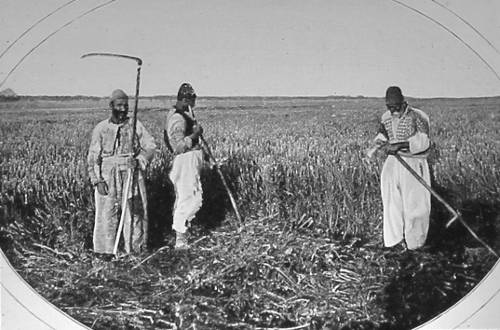 Harvesters from Van – 1904