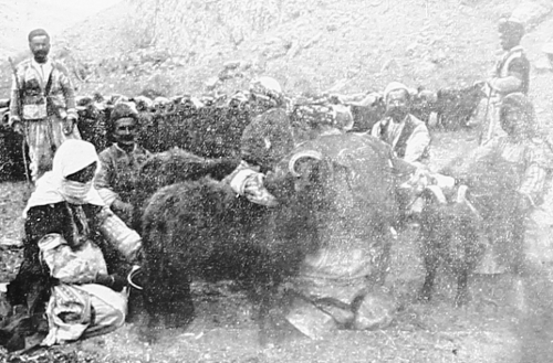 Farmers Vaspurakan