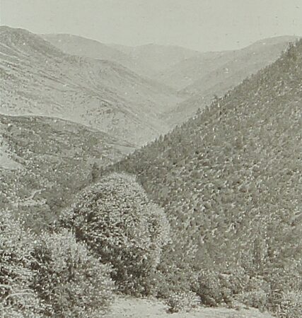 Keraz Bel 1898