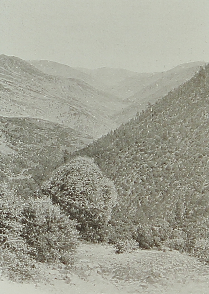 Keraz Bel 1898