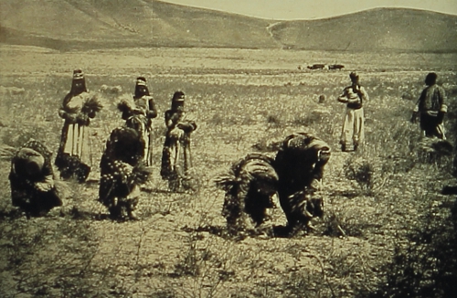 Armenian women near Van
