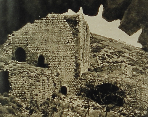 The castle of Bagras