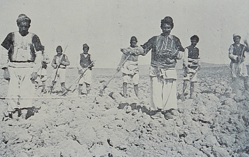 Seeding near Lake Sevan