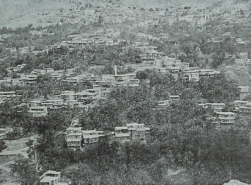 Akn