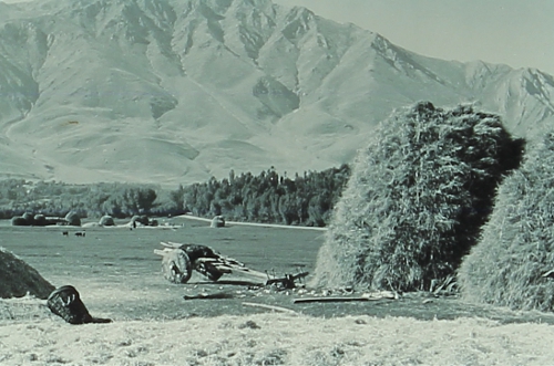 Farming near Lake Van