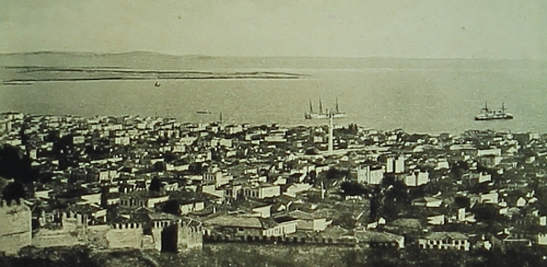 Salonig