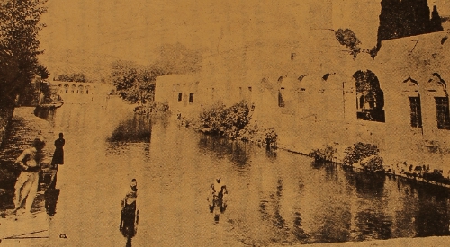 Hayr Apraham pool