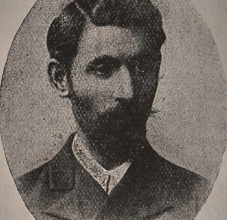 Bedo