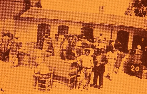 Exodus from Cilicia (Giligia) III