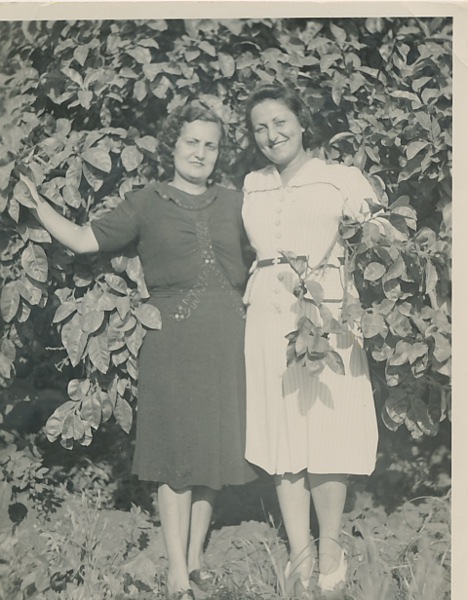 Krikorian family’s orange grove, Yeranig and Arpi aunts – 30 August 1941