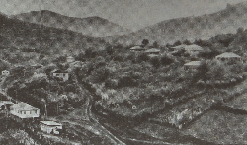 Tsaghkavan